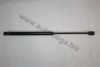 AUTOMEGA 3082705506N0A Gas Spring, boot-/cargo area